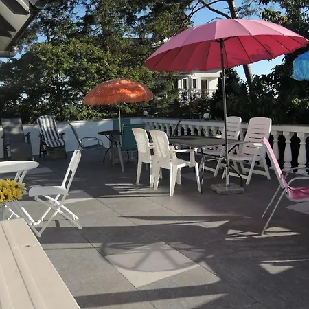 In Near Wide דז'יבנובק